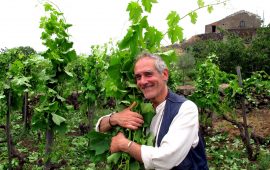 The Wine Republic of Italy