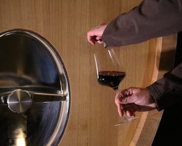 Cathiard Vineyard’s history
