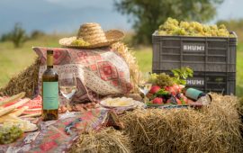 SHUMI Winery