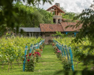 More than 25 Years of Exceptional Georgian Wines Rooted in Mythologyogy