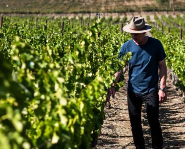 California Wine Country: A Journey Through Diversity and Excellence