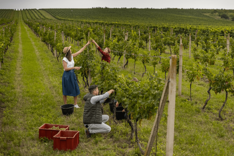 South Moravia