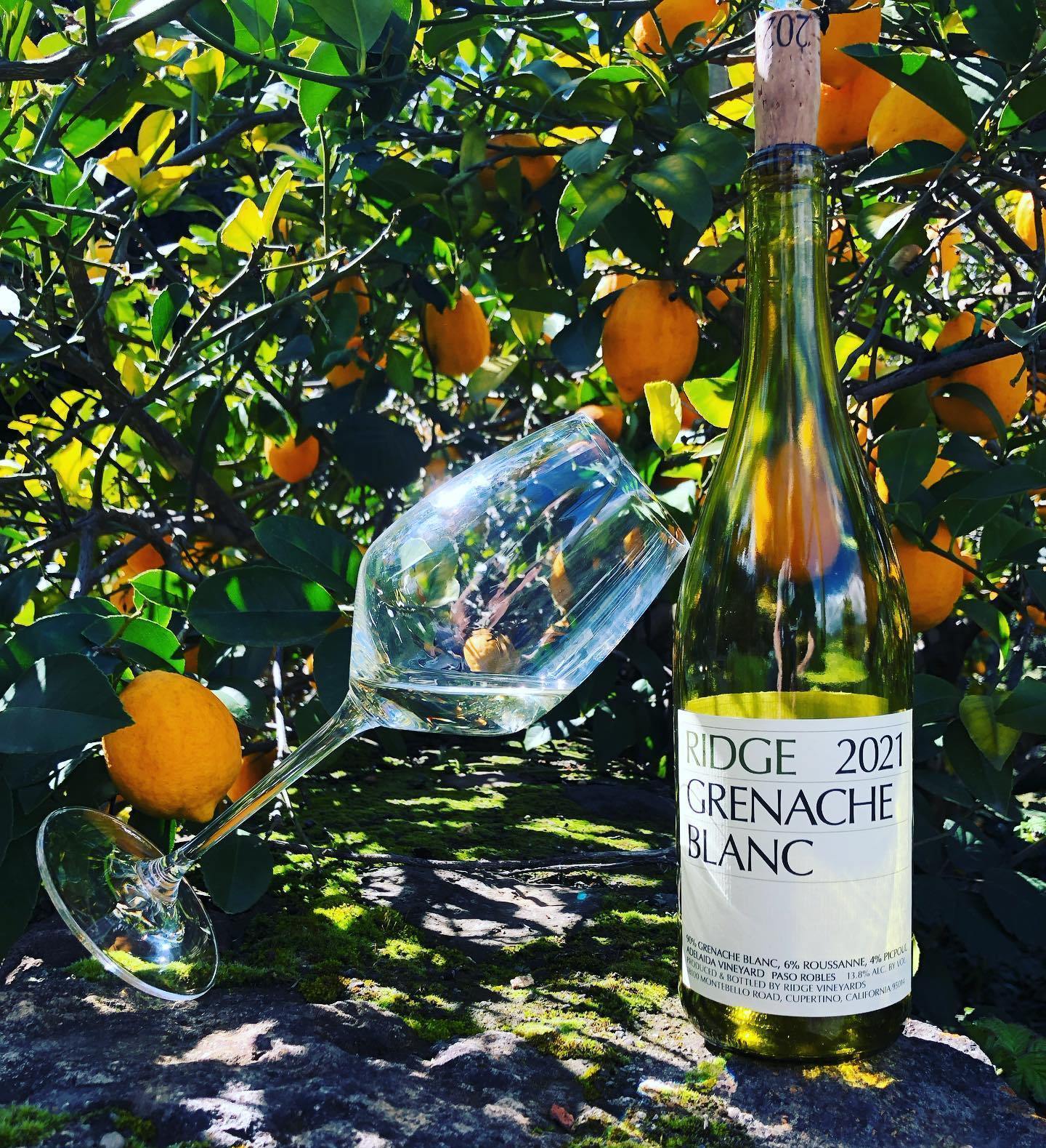 Ridge Vineyards